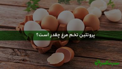 پروتئین تخم مرغ چقدر است